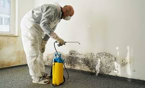 Reliable Burbank, WA Mold Inspection Solutions